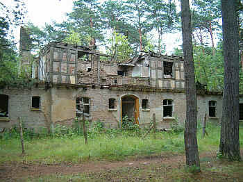 http://www.mati.home.pl/img/bornewillaguderiana.jpg